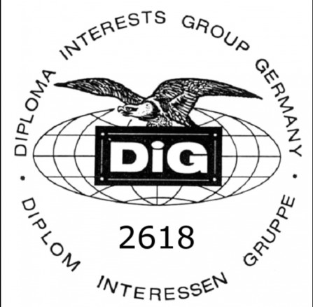 DIG Logo